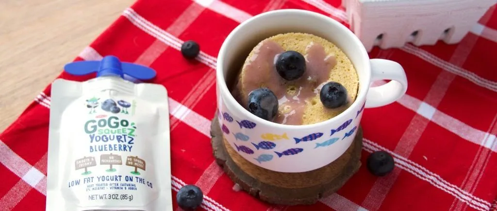 img_mug-cake_05-1024x683